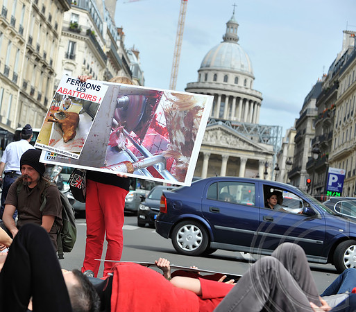Animal Rights Protests (Paris)