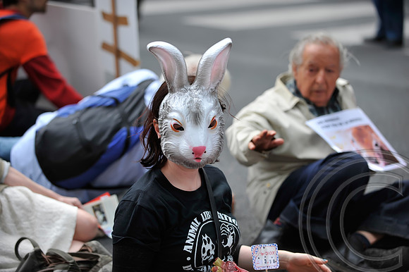 Animal Rights Protests (Paris)