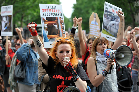 Animal Rights Protests (Paris)