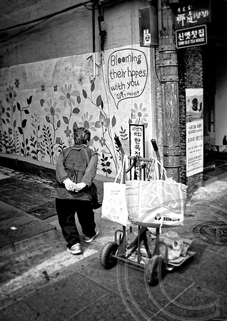 Seoul elderly doing it tough, Seoul, South Korea - April 2015