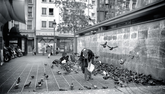 The bird feeder (Paris)