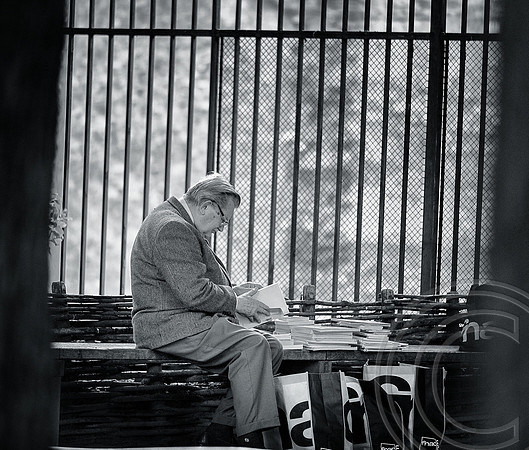The bookseller (Paris)