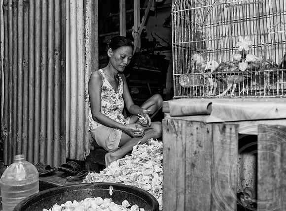 Manila: Philippines, No end to misery at Manila’s ”Happyland” slums