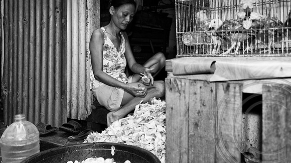 Manila: Philippines, No end to misery at Manila’s Happyland slums