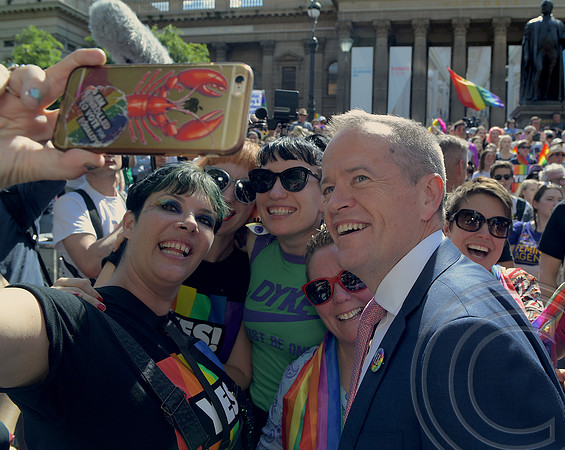 Australians vote YES for Same-Sex Marriage
