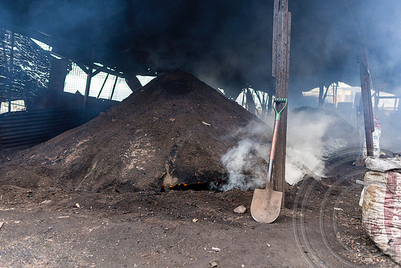 Charcoal harvesting rife in Manila's slums