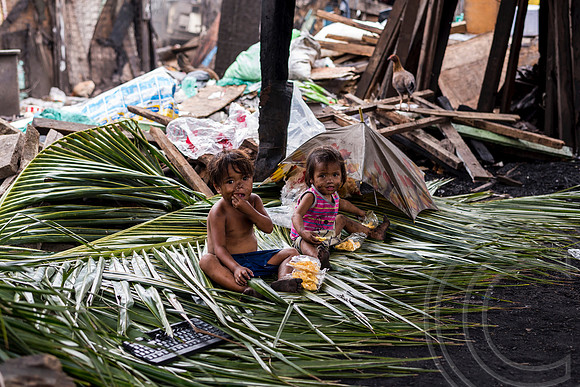 Charcoal harvesting rife in Manila's slums