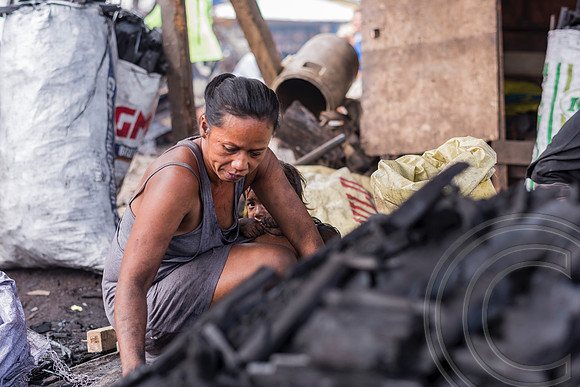 Charcoal harvesting rife in Manila's slums