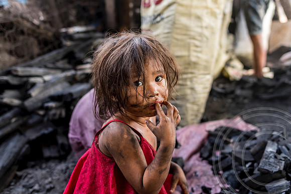 Charcoal harvesting rife in Manila's slums