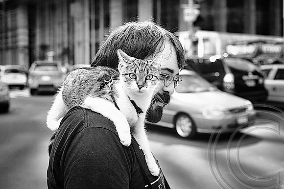 Shoulder wear