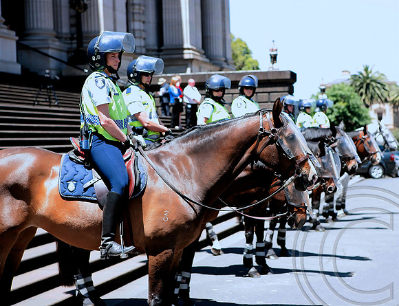 Melbourne_Nurses_Rally_24 Nov-11_-0002
